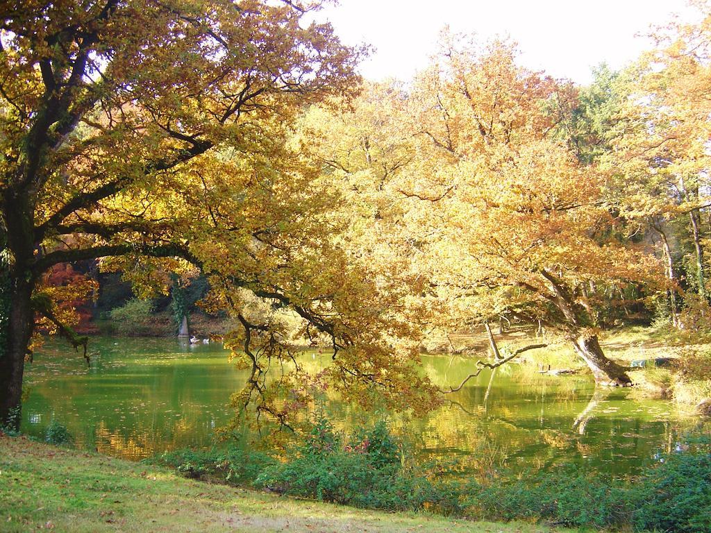 Chateau Du Bois Glaume Poligne Номер фото